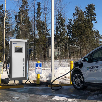 RS485 Поиск температуры соединения 60KW DC EV зарядное устройство для BMW iX3 Type 2 зарядное устройство