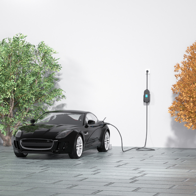 16A 3.5kw EVse уровень 2 портативное зарядное устройство для электромобилей
